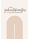 Lytse boef Bewaarbundel geboortekaartjes A5 - Regenboog